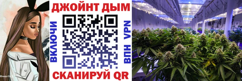 Бошки марихуана SATIVA & INDICA  OMG как зайти  Гдов 